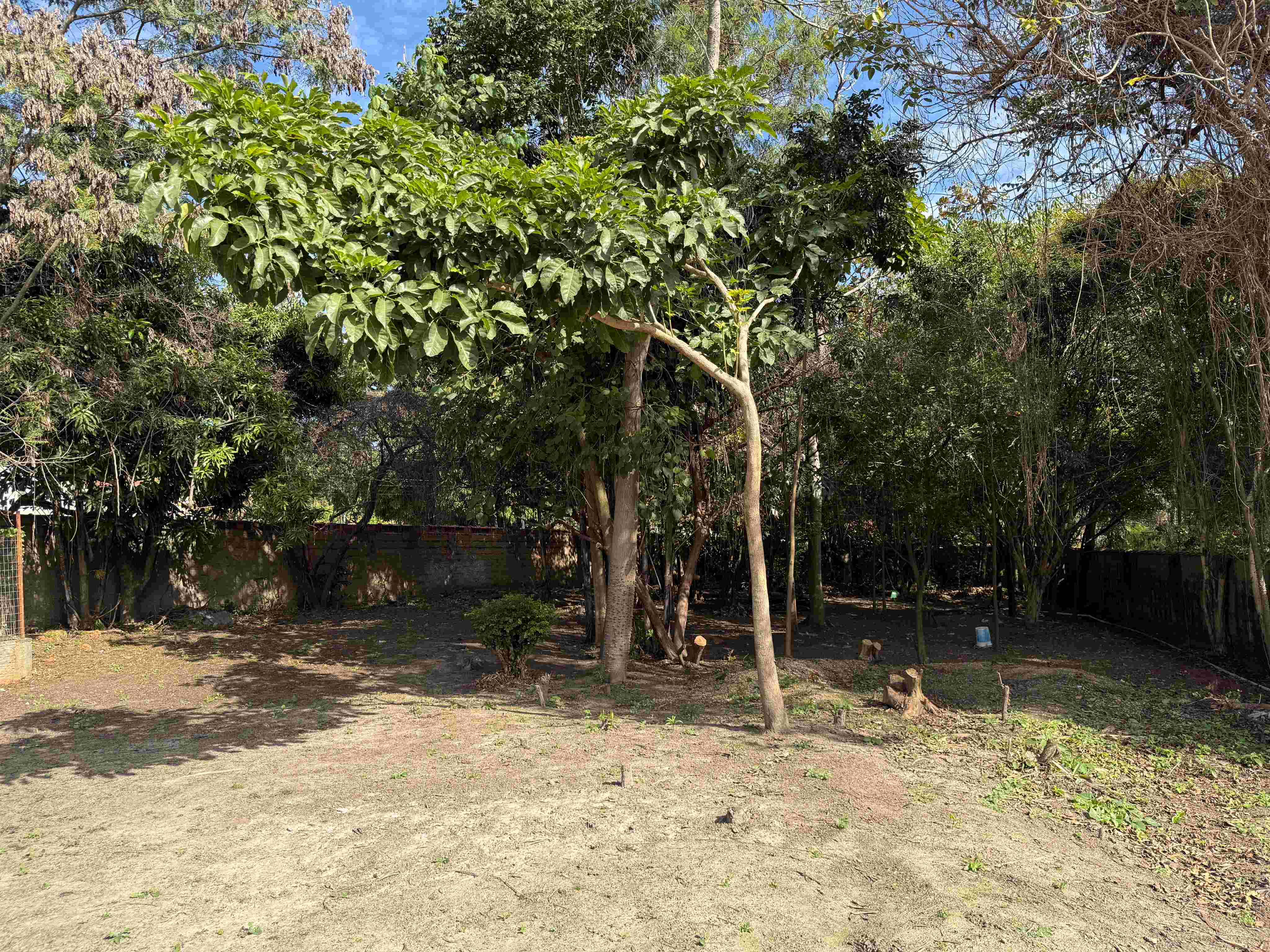 Foto 13