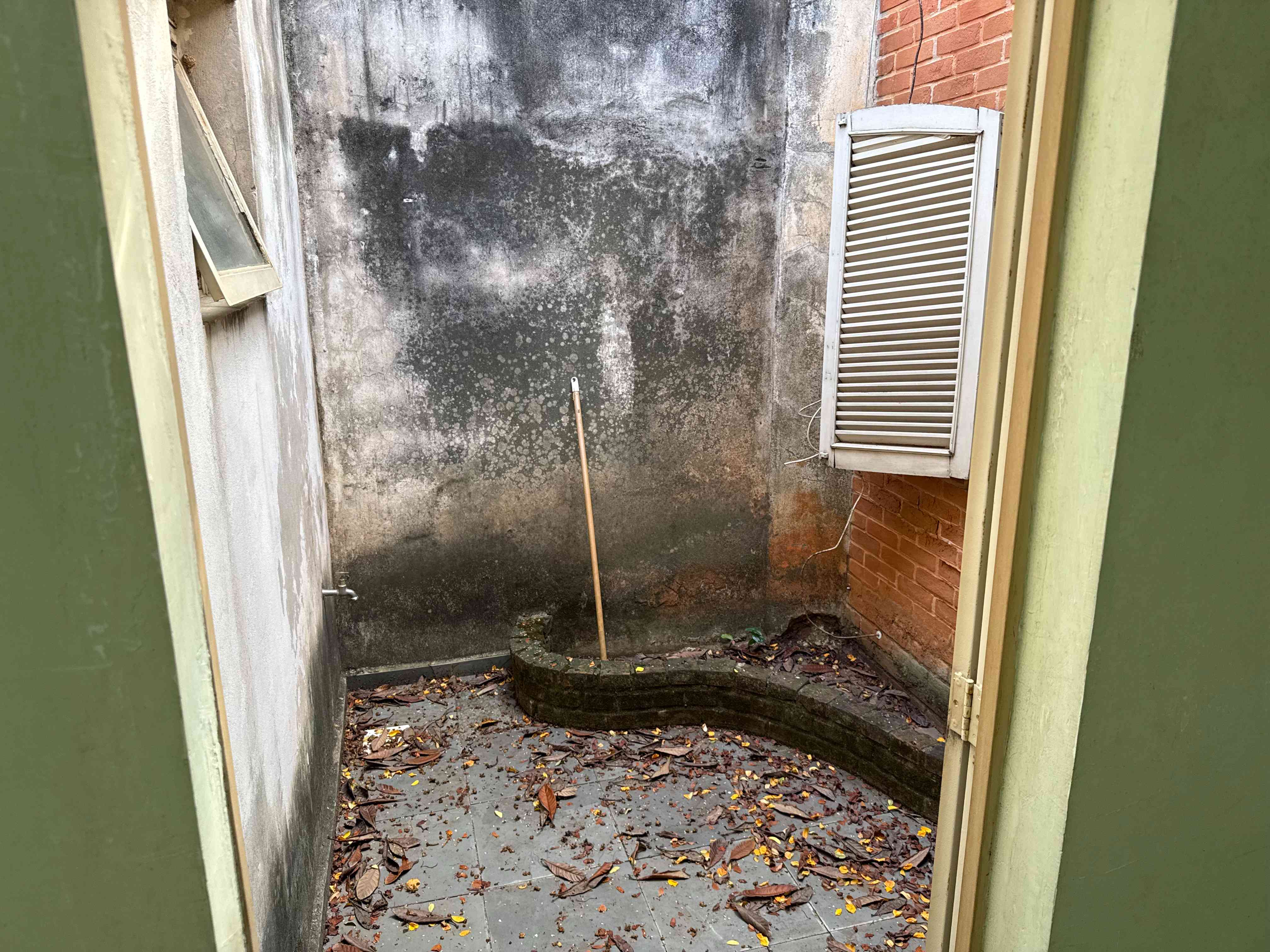Foto 41